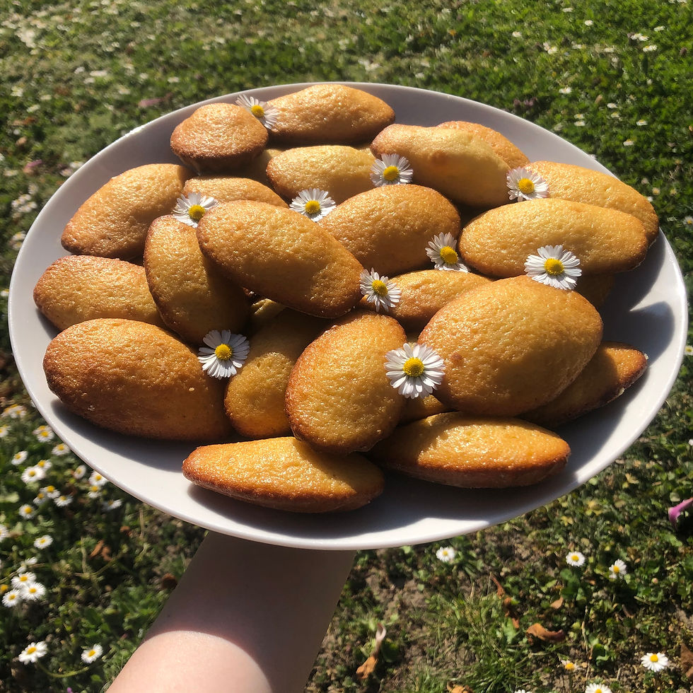 Foody mamy - blog culinaire - madeleines