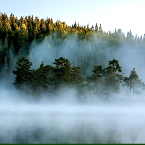 Did You Know series: Medieval Times