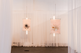 Capture d’écran 2024-02-16 à 11.17.32.png