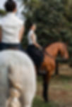 S__8208398.jpg
