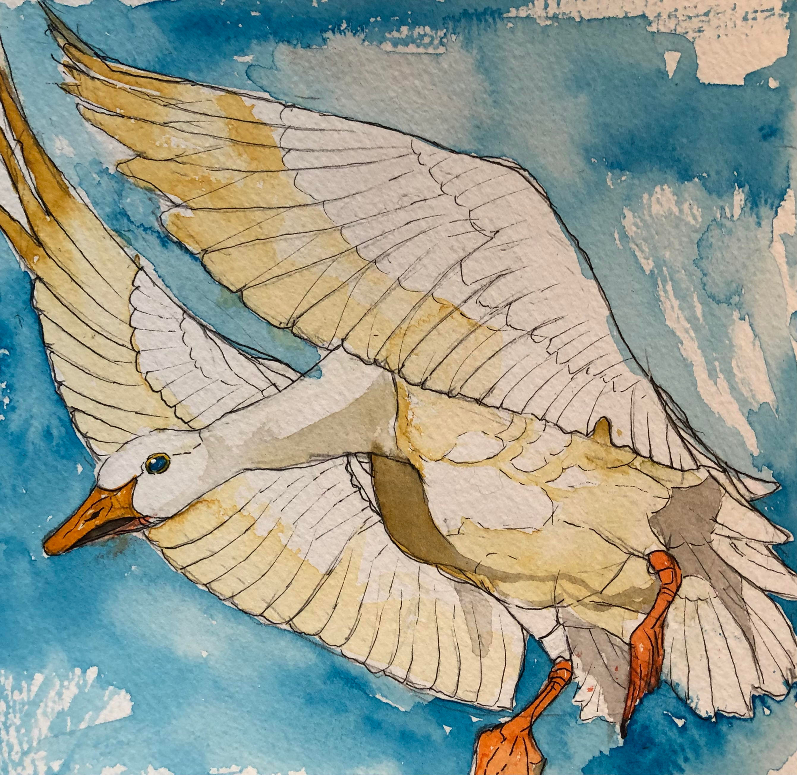 Gänse können Fliegen