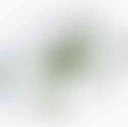 Rækkehuse, Helsinge