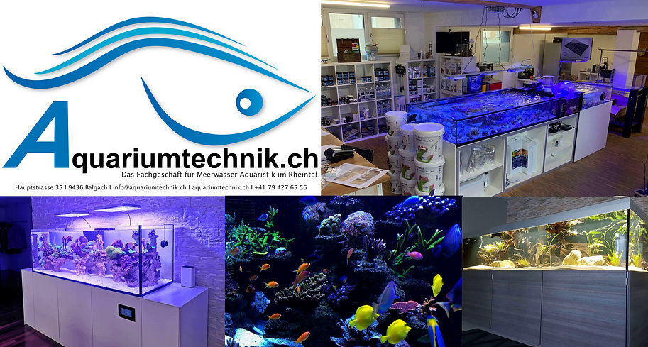 Aquariumtechnik