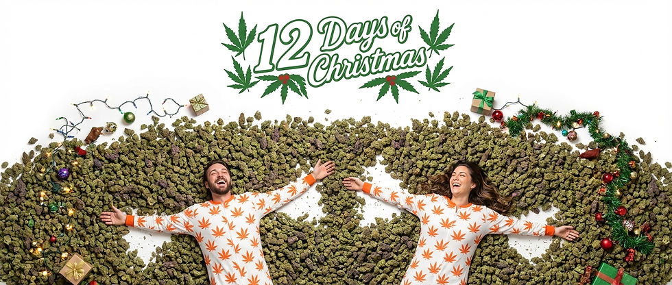 Generated Image December 11, 2025 - 5_59PM.jpeg