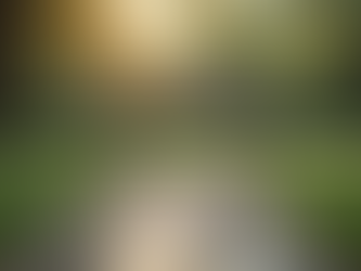 Creating a Safe Space for Mental Wellness Growth