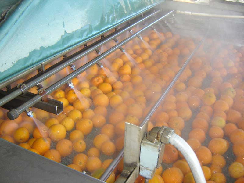 Produce Washing