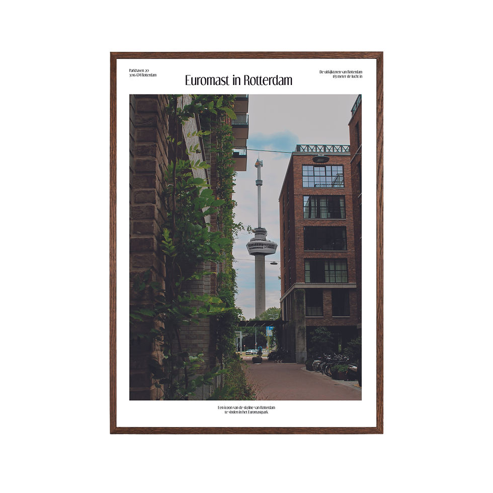 poster euromast rotterdam