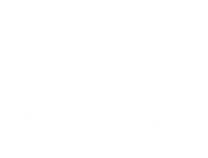white_logo_transparent_background.png