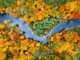 The River of Past, Present, and Future