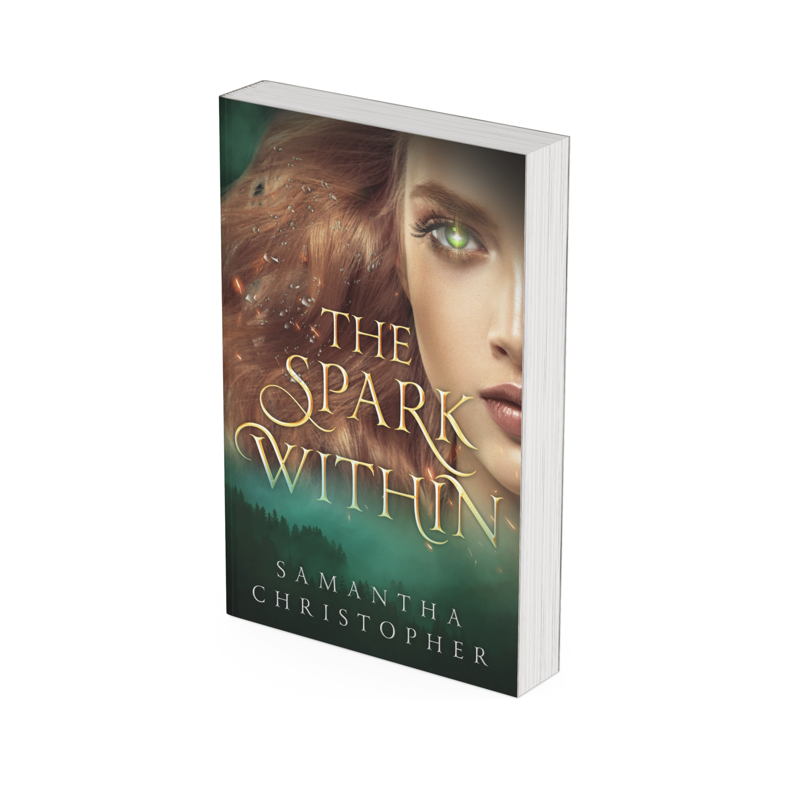 The Spark Within Paperback