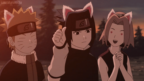 3.gif