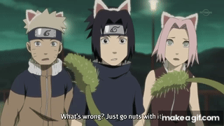 4.gif