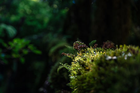 AdobeStock_333188223.jpeg
