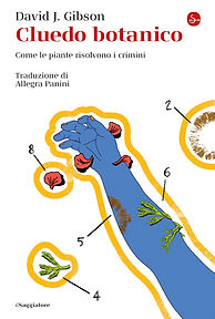 Italian Translation.jpg