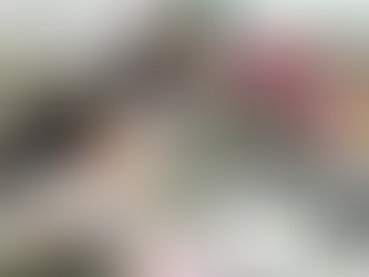 臺東縣竹湖國小入校陪伴 3~4