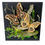 Thumbnail: REAL - LARGE Silk Moth Diorama -11X11X5 Inch shadowbox diorama USA Saturniidae