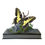 Thumbnail: REAL - Moth Diorama -6X6X6 Inch Diorama - Papilio zelicaon - The Anise