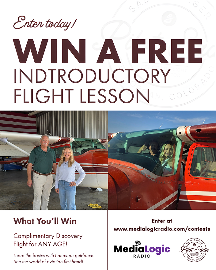 Pilot Sadie Media Logic Post (1).png