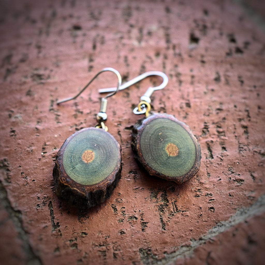 Dyed Wooden Earrings
