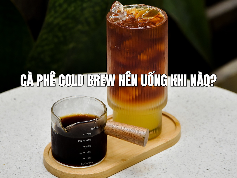 Cà phê Cold Brew nên uống khi nào? Thời điểm lý tưởng để thưởng thức đúng cách