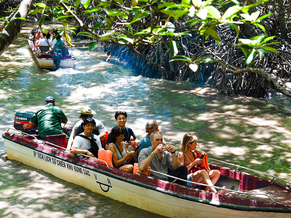 Lướt cano giữa màu xanh bất tận của rừng ngập mặn Cần Giờ. Một trải nghiệm không thể bỏ qua!