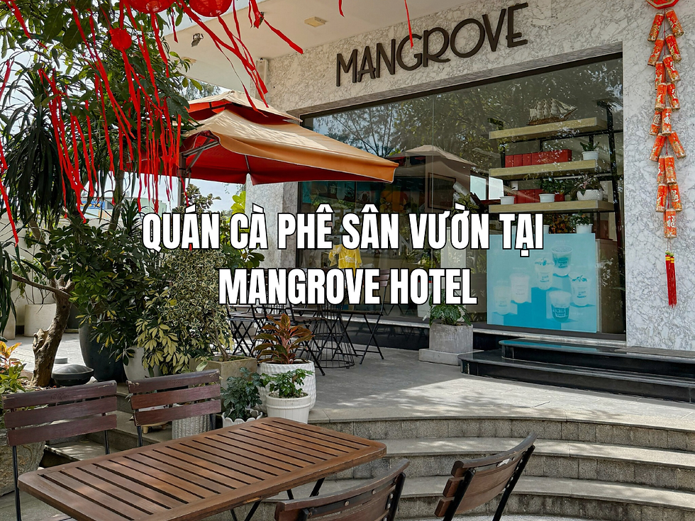 Quán cà phê Cần Giờ - Trải nghiệm không gian xanh, view rừng ngập mặn cực chill