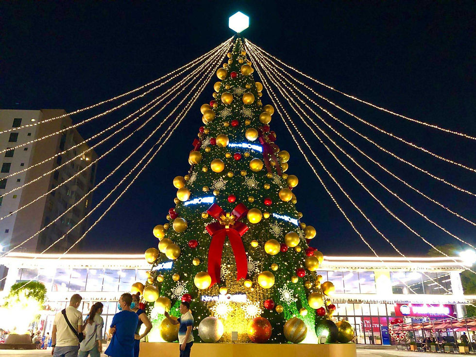 Cây thông Noel khổng lồ đã "lên sóng" tại Thảo Điền, TP.HCM!