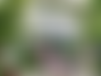 "Lưu ngay" địa điểm ăn trưa cho khách công tác tại Cần Giờ gần dự án lấn biển Vinhomes