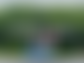 Du lịch Cần Giờ Tết dương lịch - Gợi ý địa điểm đi chơi đầu năm hấp dẫn gần Sài Gòn