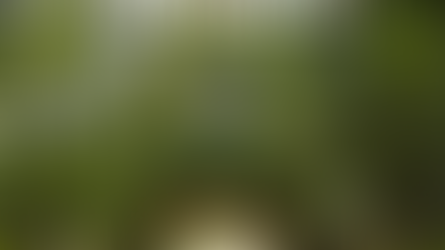 Khu du lịch Vàm Sát ở đâu? Hành trình khám phá thiên nhiên hoang sơ Cần Giờ