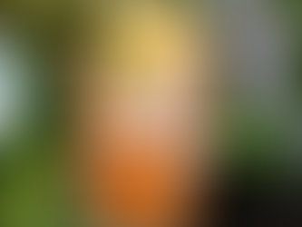 Hướng dẫn chi tiết cách làm trà cam thanh xuân chuẩn vị tại nhà