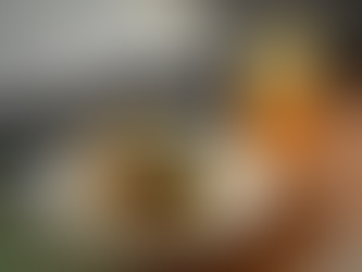 Thưởng thức mì ý sốt bò bằm thơm ngon, chuẩn vị tại Mangrove Coffee & Tea