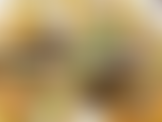 Khách công tác ăn gì khi đến Cần Giờ? Địa điểm ăn ngon gần dự án lấn biển