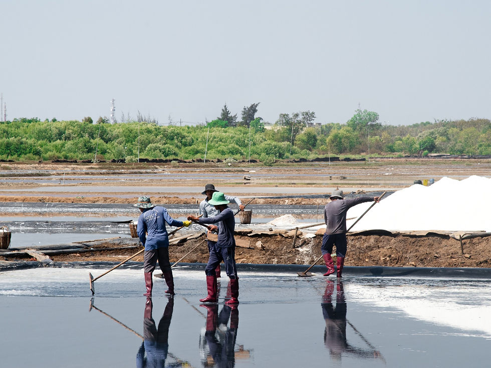 Khám phá nét đẹp lao động tại ruộng muối Cần Giờ.