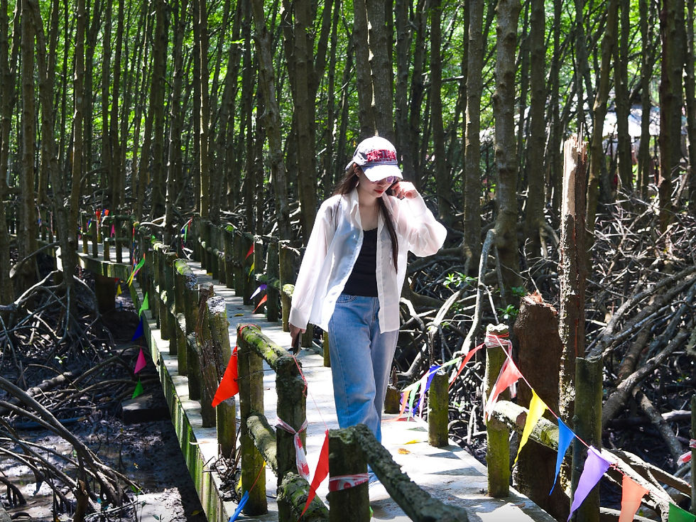 Cung đường tản bộ dưới bóng mát đại ngàn, nơi thiên nhiên vỗ về mọi giác quan.