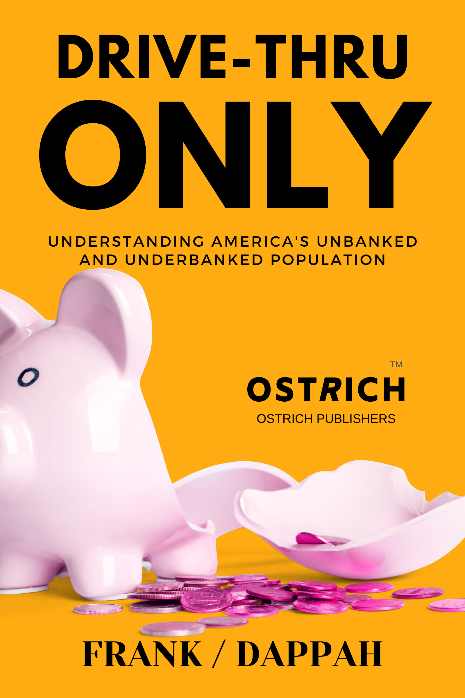 DRIVE-THRU ONLY: Understanding America's unbanked and underbanked population