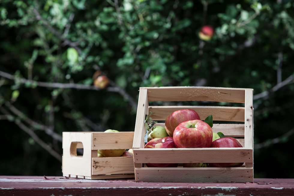 Apple storage
