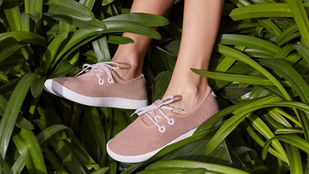 Allbirds’ Pivot to AI Is Less About Innovation Than Survival