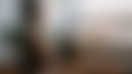 Transform Your Home into a Wellness Wonderland