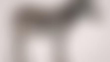 The Sales Pipeline Is Where Business Strategy Becomes Honest