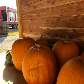 Joyful Celebrations: Captivating Moments in Central Kentucky
