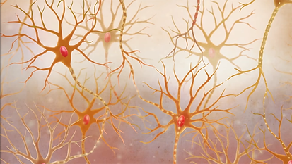 Neurons the building blocks of the brain