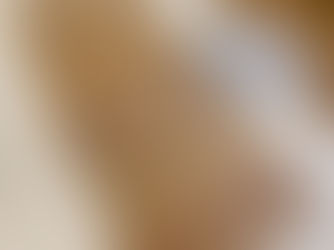 29.サンプルが届いた!