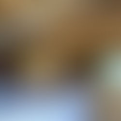 33.上棟から約2ヶ月後