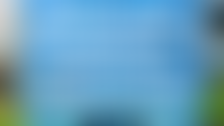 UNDERSTANDING DEFAULT AND HOW THE SERRONE HUNTER REAL ESTATE ADVISORY GROUP CAN HELP