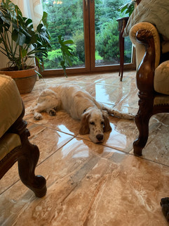 IMG-7448.jpeg