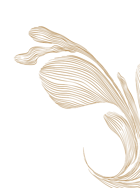 Untitled design-31.png