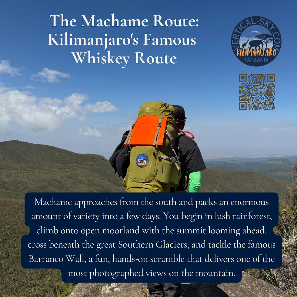 The Machame Route, Zizu and Vertical Sky