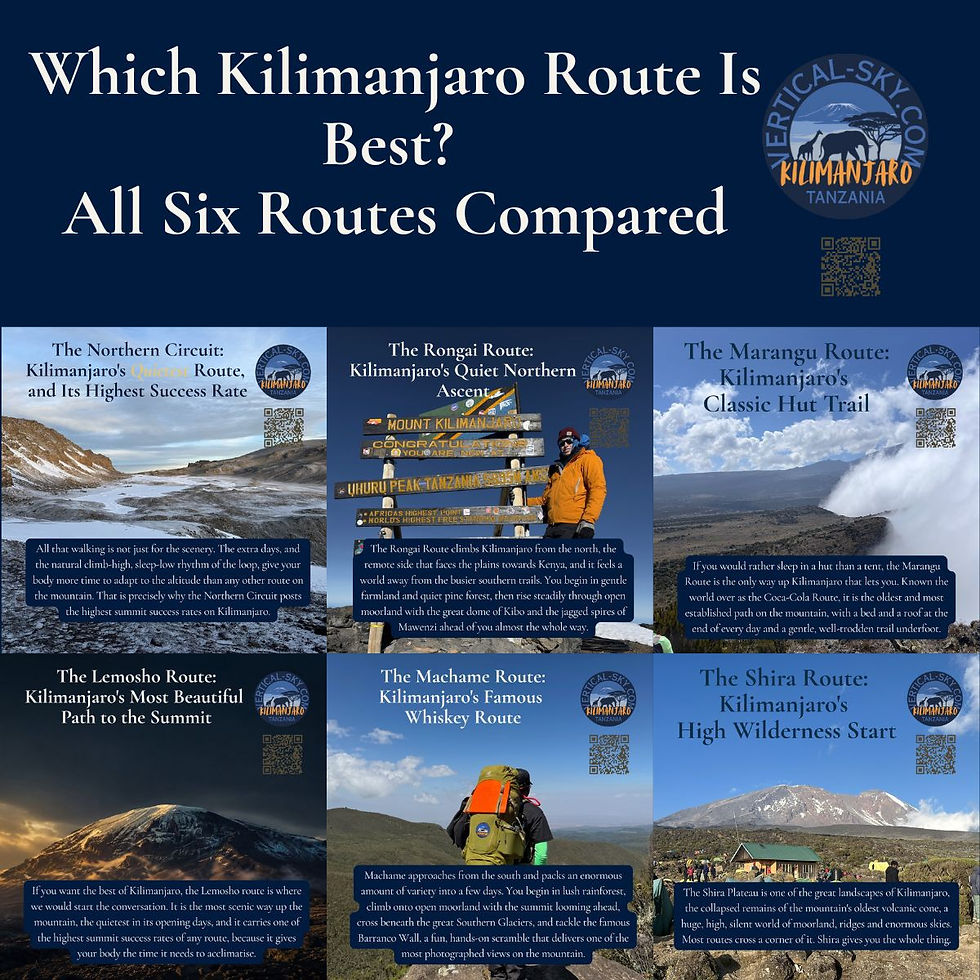Which Kilimanjaro route is best? The six blog posts of the 6 routes on Kilimanjaro