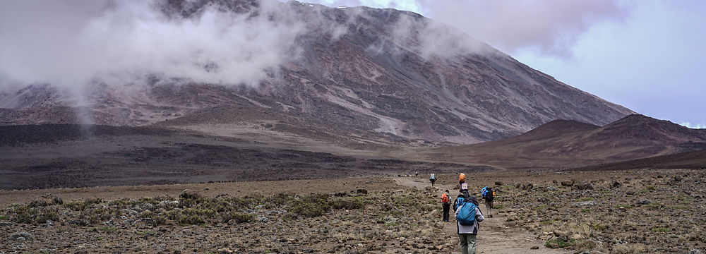 Kilimanjaro Mountain, pathway to lava tower, Approach from Shira camp 2.